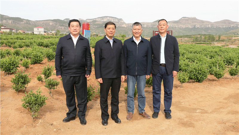 企業風采